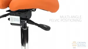 Multi Function Levers